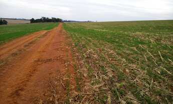 Imagem 5: Linda fazenda na agricultura em Taquarituba - SP