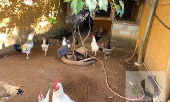 Imagem 6: Chácara com 2 dormitórios em Mairinque