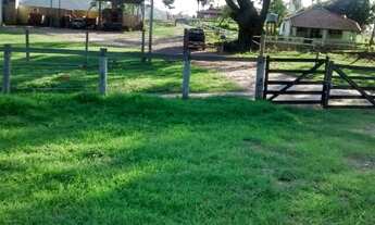 Imagem 2: Fazenda para venda com 75 alqueires em Zona Rural - Ipeúna - SP