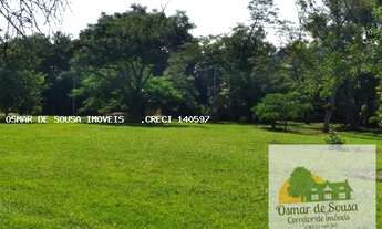 Imagem 7: Sítio de 6,5 alqueires em Pereiras - SP