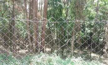 Imagem 2: Terreno à venda, 3016 m² por R$ 2.250.000,00 - Granja Viana - Cotia/SP