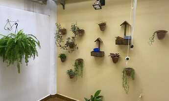 Imagem 5: Casa para Venda em Presidente Prudente, Jardim Paulistano, 3 dormitórios, 1 suíte, 3 banhe