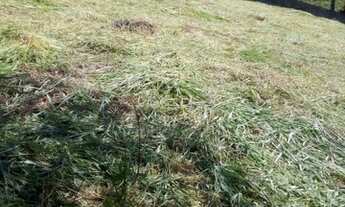 Imagem 3: Terreno para venda tem 2080 m² no Portal dos Ipês