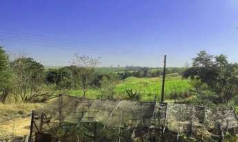 Imagem 2: Sítio em Pirangi/SP 8,3 Alqueires