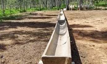 Imagem 2: Fazenda em Gália