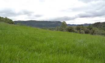 Imagem 7: Fazenda/Sítio/Chácara para venda possui 20,000 metros quadrados em Fazenda Sao Marcos - Bo