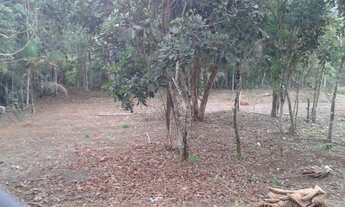 Imagem 4: GUARAREMA - SP TERRENO BEIRA RIO PARAÍBA