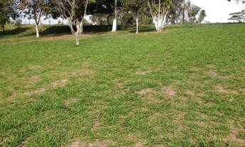 Imagem 6: Lote/Terreno para venda tem 2800 metros quadrados em Vila Guilherme - Santa Isabel - SP