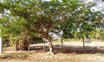 Imagem 4: TERRENO DE ESQUINA, ÓTIMA TOPOGRAFIA, SANTA ADÉLIA - BOITUVA/SP