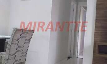 Imagem 4: Lindo apartamento em Ponte Grande