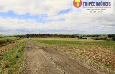 Imagem 4: Sitio na Região de Tiete / SP. com 23 alqs (55,66 hect) totalmente plana