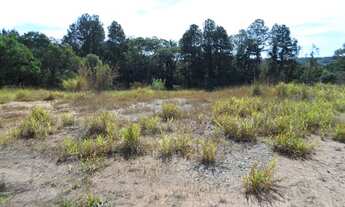 Imagem 6: TERRENO COMERCIAL em JARINU - SP, Fim do Campo