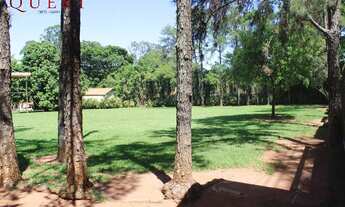 Imagem 5: Excelente chácara na Rota 81 - 9.000m2