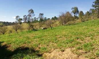 Imagem 6: Oportunidade!! Linda Chácara com 25.400m² / Campo Limpo Pta / R$1.200.000