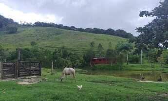 Imagem 2: Sítio 16 Alqueires (Willian Ricardo