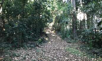 Imagem 7: Terreno vista mar - Veloso -Ilhabela