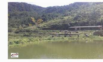 Imagem 6: Fazenda km 51 Tamoios