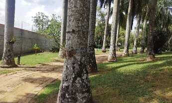 Imagem 6: CHÁCARA À VENDA NO CONDOMÍNIO RECANTO DOS PÁSSAROS