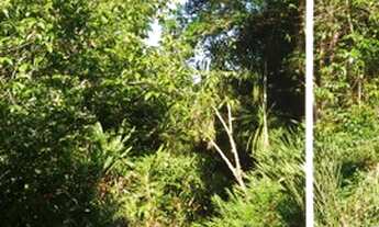 Imagem 5: Fazenda/Sítio/Chácara para venda com 64000 m² Serra da Cantareira R$ 5.000.000,00