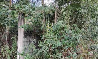 Imagem 3: Terreno à venda - 5000m² - com Escritura - Mairiporã/SP