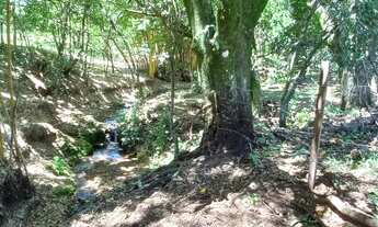 Imagem 7: Sitio de 14,9 hectares há 7km da cidade de Botucatu-SP
