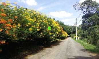 Imagem 4: LAGOA SANTA - Loteamento/Condomínio - Estância Das Amendoeiras