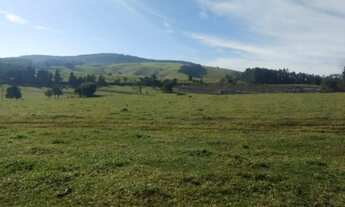 Imagem 2: Fazenda/Sítio/ - Amparo - SP