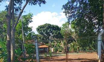 Imagem 3: Sitio em cajuru 2 alqueires 650.000.00