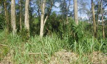 Imagem 2: Venda Terreno/Lote de 590 metros quadrados cercado por área verde