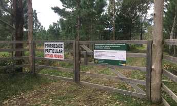 Imagem: Area para Condominio Fechado de lotes