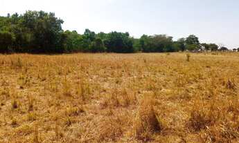 Imagem 2: Fazenda em Dois Irmãos