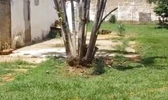 Imagem 3: SÃO JOSÉ DO RIO PRETO - Terreno Padrão - VILA ERCÍLIA