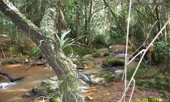 Imagem 7: Sítio com 2 dormitórios à venda, 228448 m² por R$ 1.350.000,00 - Zona Rural - Pinhalzinho