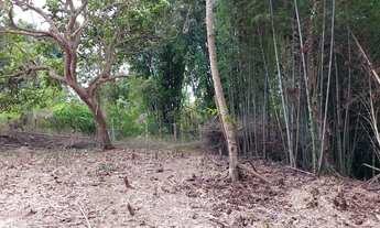 Imagem 2: Área com excelente localização