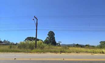 Imagem 5: TERRENO URBANO (INDUSTRIAL/COMERCIAL) - VISTA ALEGRE - RIO NEGRINHO