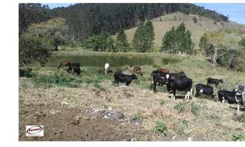 Imagem 3: Fazenda km 51 Tamoios