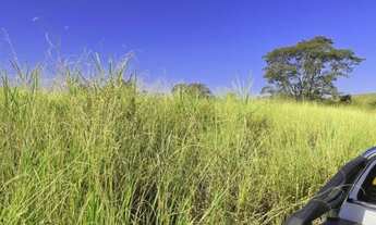 Imagem 3: Sítio em Pirangi/SP 8,3 Alqueires