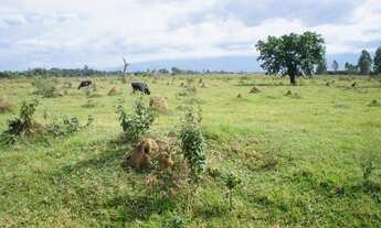 Imagem 2: EXCELENTE TERRENO EM PINDAMONHANGABA À VENDA IDEAL PARA EMPREENDIMENTO RESIDENCIAL