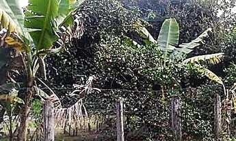 Imagem 7: Terreno em Franca