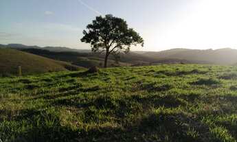 Imagem: LINDO LOTE COM VISTA DE 360º