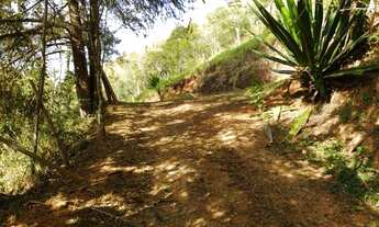 Imagem 4: Fazenda/Sítio/Chácara para venda possui 17.000m2