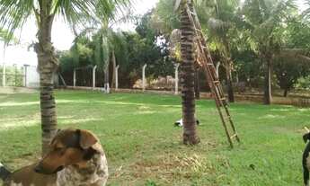 Imagem 3: Chácara para venda em São Pedro - SP