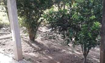 Imagem 7: Chácara Loteamento Vida Nova