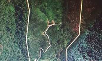 Imagem 4: Chácara de 10 Alqueires