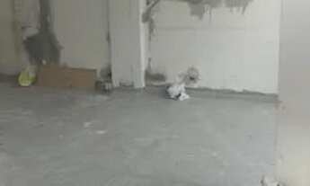 Imagem 5: Ponto comercial/Loja/Box para aluguel com 48 metros quadrados em Setor Oeste - Goiânia - G