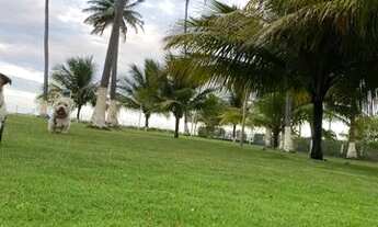 Imagem 4: Casa beira mar Tamandare - melhor trecho de mar