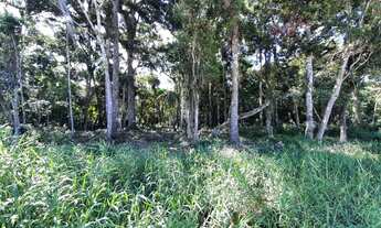 Imagem 2: Terreno Mariscal T02