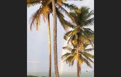 Imagem 6: Chácaras próximas á praia . Prado. Bahia