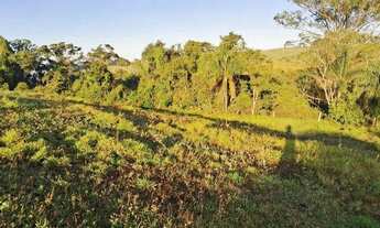 Imagem 6: Sítio a venda em Limeira SP