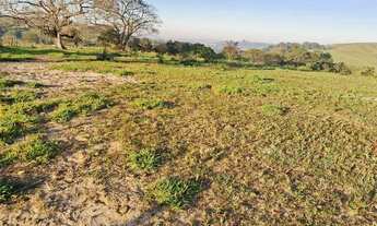 Imagem 4: Sítio a venda em Limeira SP